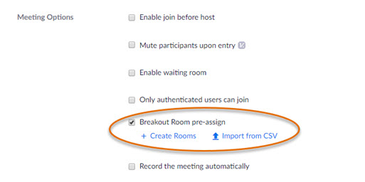 Zoom: Set Up and Work with Pre-assigned Breakout Rooms | IT@Cornell